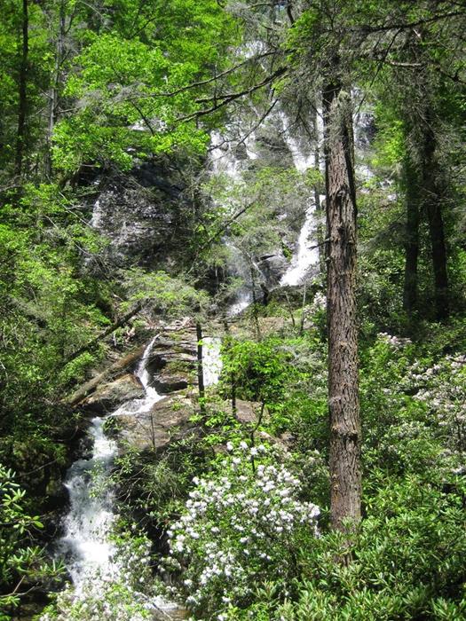 The 1.1 mile trail leads to two awesome waterfalls. (this one formed by Davis Creek)