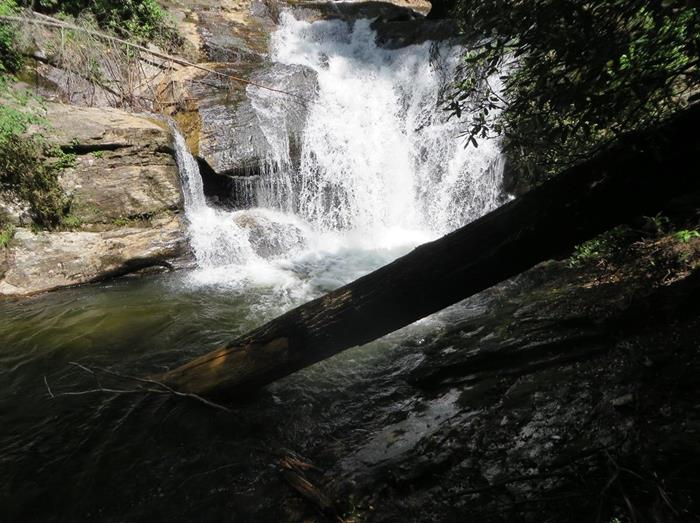 This one is formed by Dodd and Dukes Creek.