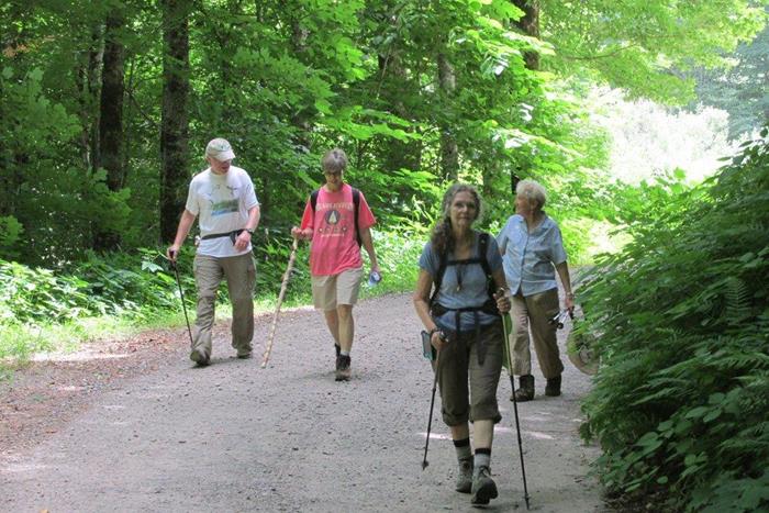 Hiking up Forest Service Road 71 to Deep Gap.