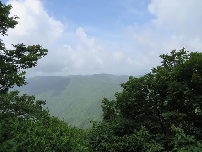 View 2