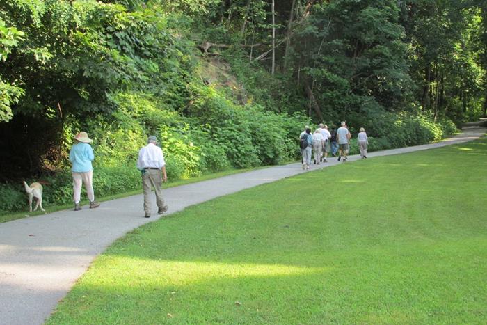 A beautiful walk up to the Whitewater Falls viewing area!