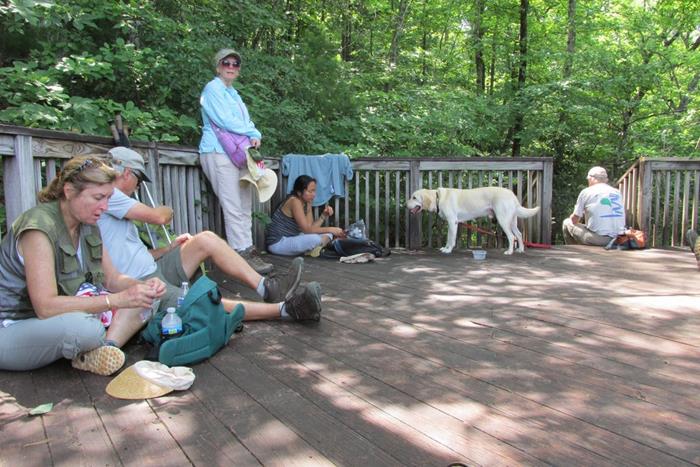 Lunchtime on the observation deck for Lower Whitewater Falls.