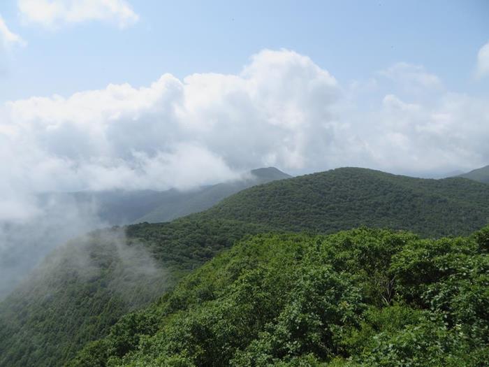 Great 360 degree views from the tower!