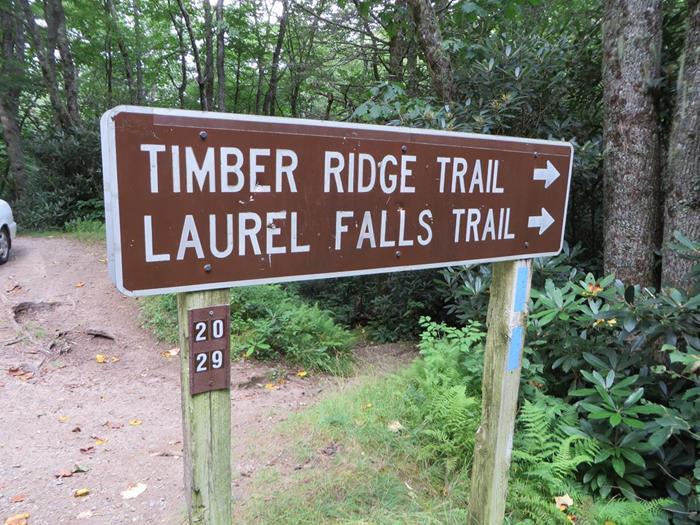 Our third trail of the day to Laurel Creek Falls!