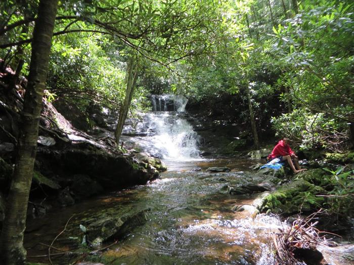 Laurel Creek Falls