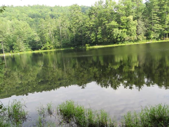 Next, we take a very short drive down to the Cliffside Lake Trails.