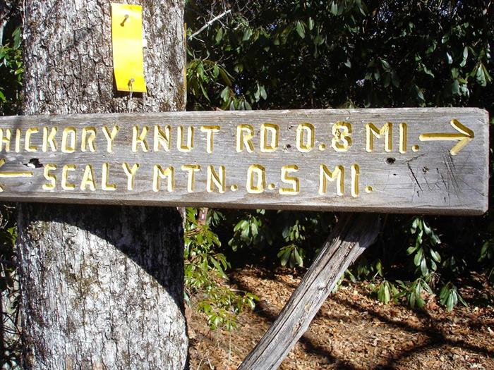 Trail junction for Hickory Knut connector trail.
