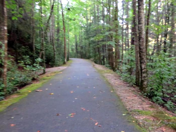 The Shortline Trail follows the railroad bed of the old Tallulah Falls Railroad.