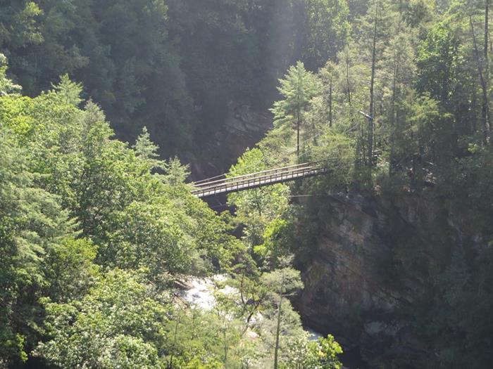 The Tallulah Gorge Suspension Bridge