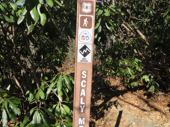 Marker at the trail junction.