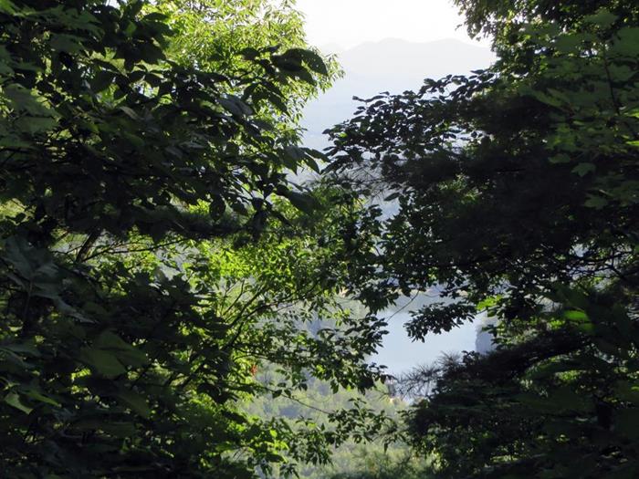 A side trail leads us to an overlook high above Vogel.