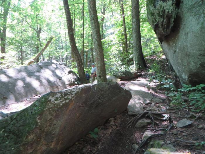 On the downward side of the loop trail we pass through a huge boulder field.