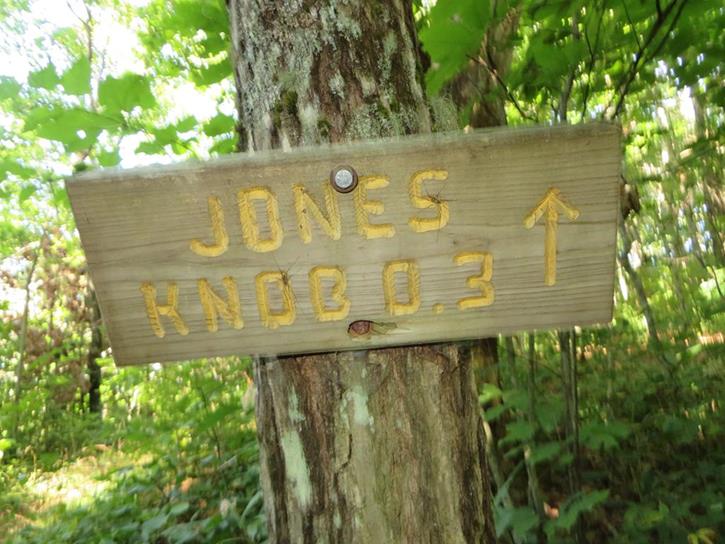Shortly into the hike, we take the side trail up to Jones Knob.