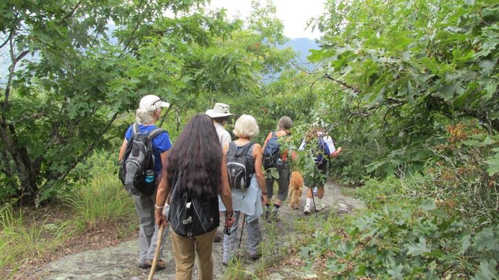We continue on the Bartram Trail over to Whitrock Mountain.