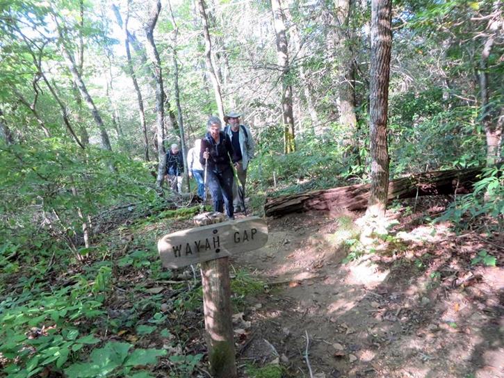 Early into the long climb toward Wayah Bald.