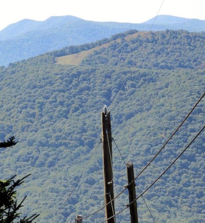 Looking across to Siler Bald from Winespring Bald.
