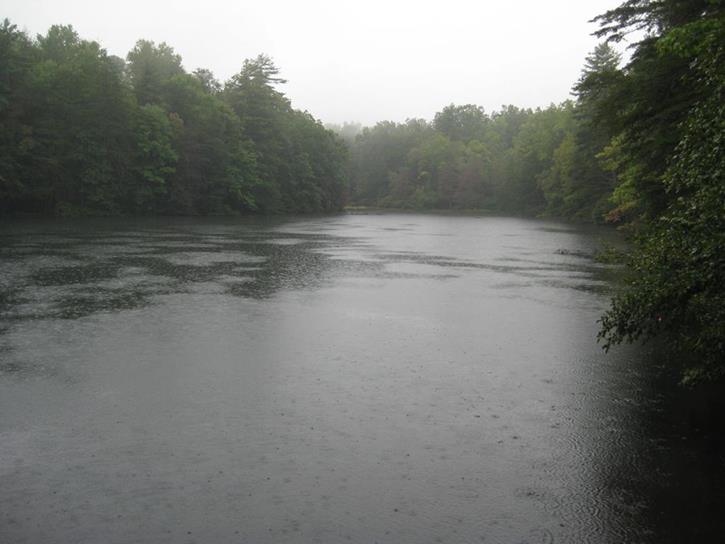 We started out with a light drizzle.