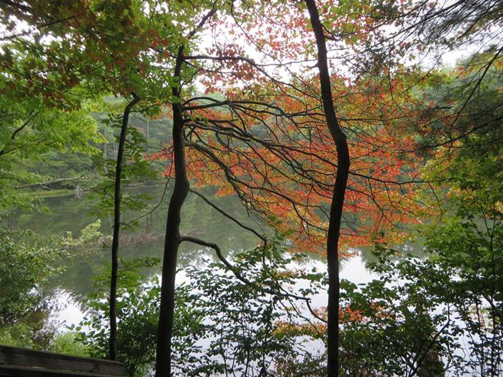 Along the lakeshore we see some early Fall color!