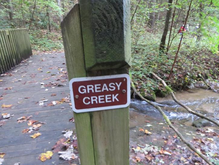The trail crosses a couple of small creeks feeding the lake.
