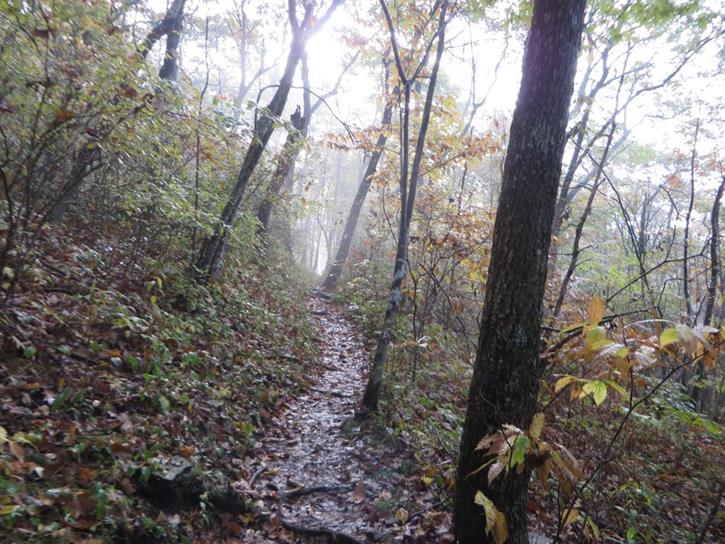 An overnight shower left the trail damp and foggy but the sun is breaking through.