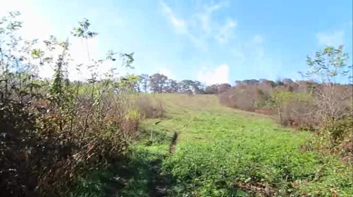 We arrive at the base of Siler Bald and take the side trail up the the summit.
