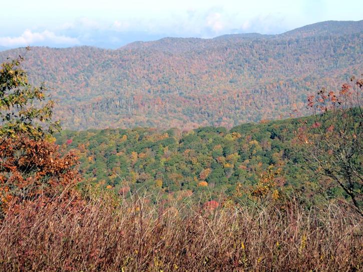 Leaf colors are nearing their peak at this elevation.