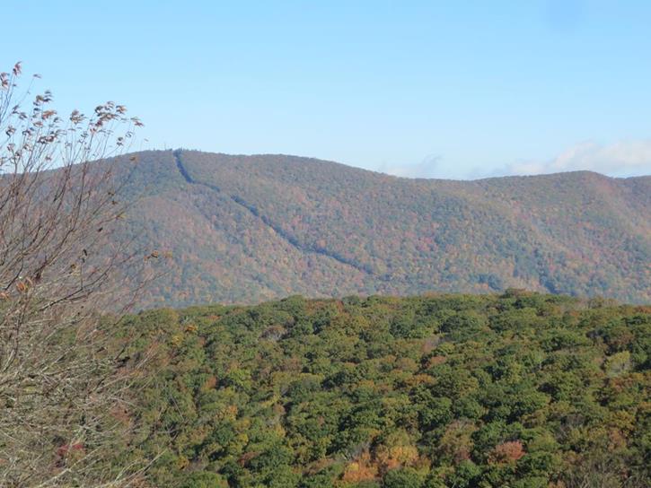 Looking over to Winespring Bald.