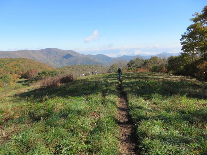 We head back down the grassy slope to the A.T.