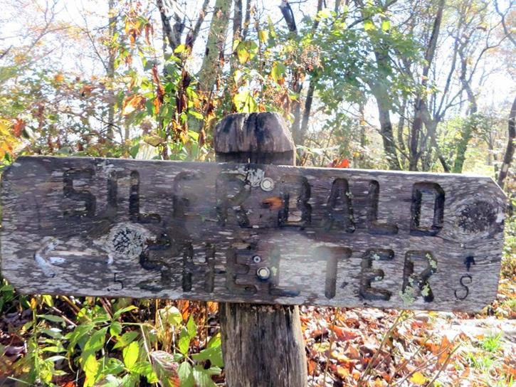 Back on the A.T., we take the side trail down to the shelter for lunch.