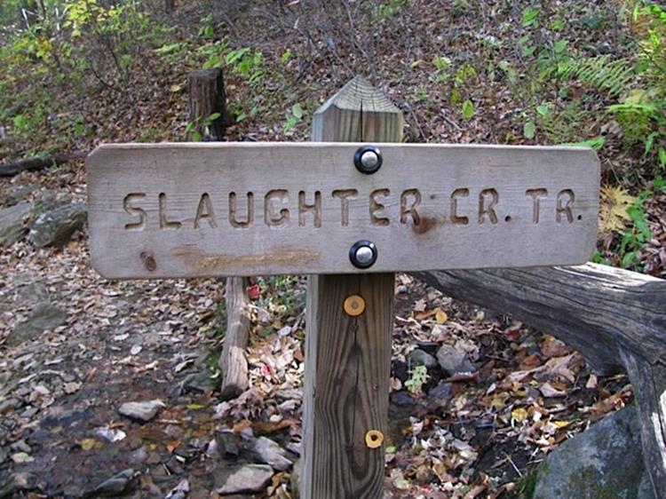 We start the loop hike on the Slaughter Creek Trail.