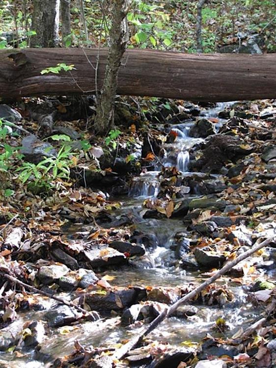 The simple beauty and sounds of mountain creeks!