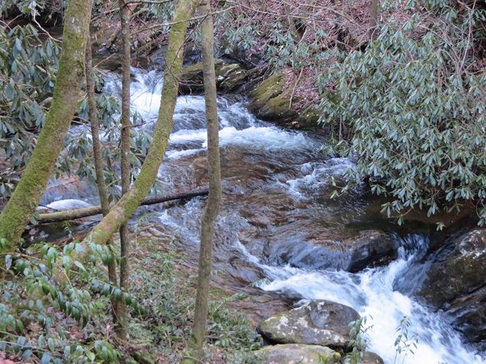 Noisy rapids all along Moccasin Creek.