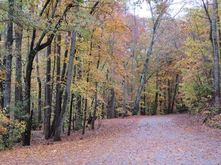 Next, we move over to the Stumphouse Tunnel Park.