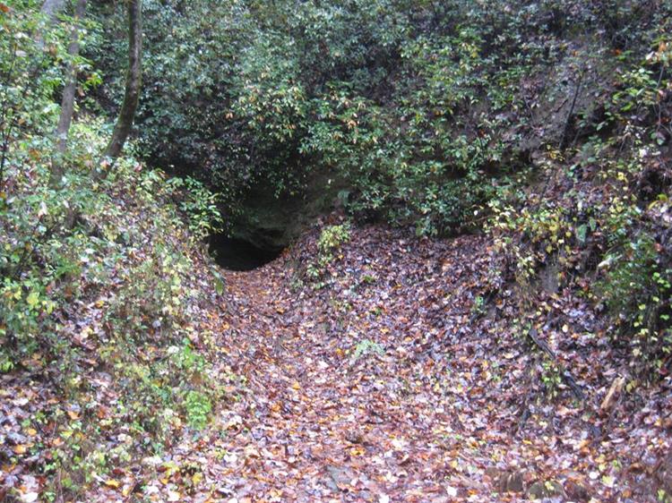 Next, we hike on the Blueridge Railroad Trail to the Middle Tunnel.