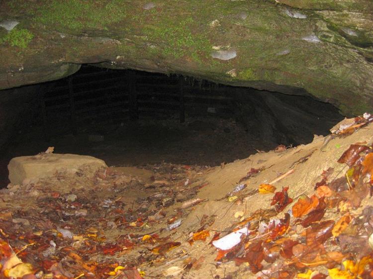 The openiing of this tunnel is mostly filled in and a gate was placed in the enrtance to protect the Bat habitat.