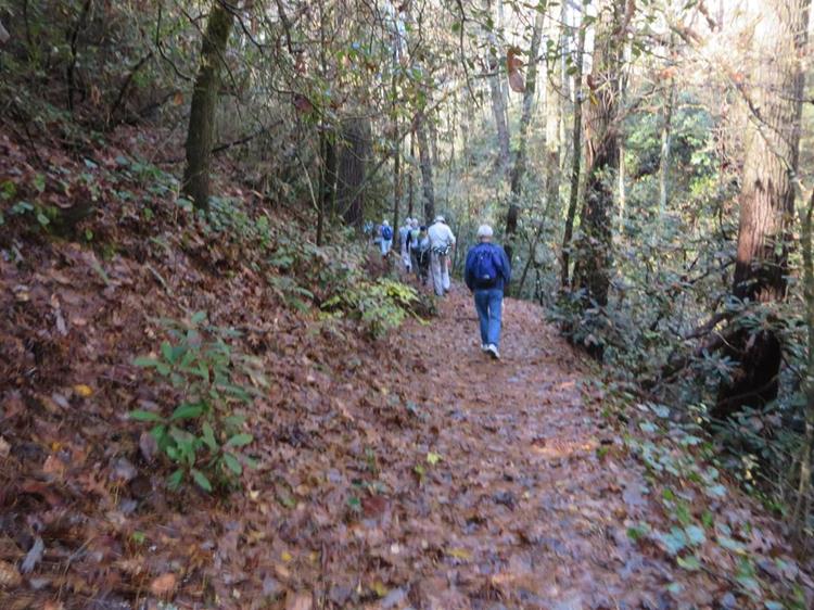 Continuing up the Bartram Trail to Martin Creek.