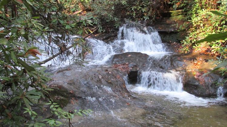 We arrive at Martin Creek with a very strong flow due to recent days of rain.
