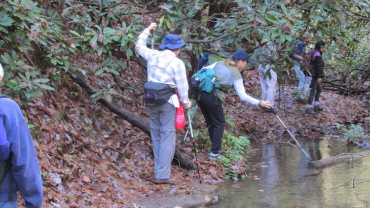 The trail was flooded in a couple of spots but we able to get around the edge.