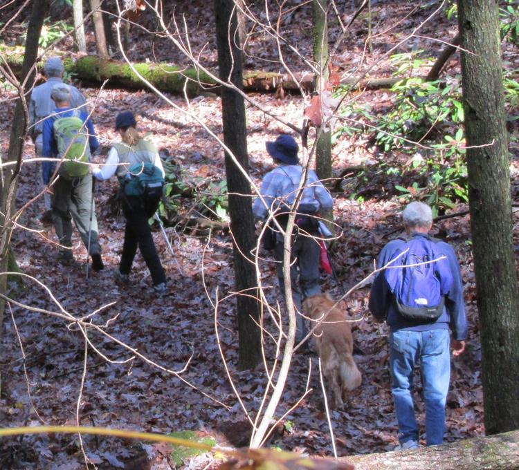 Continuing up the trail toward Martin Creek Falls.