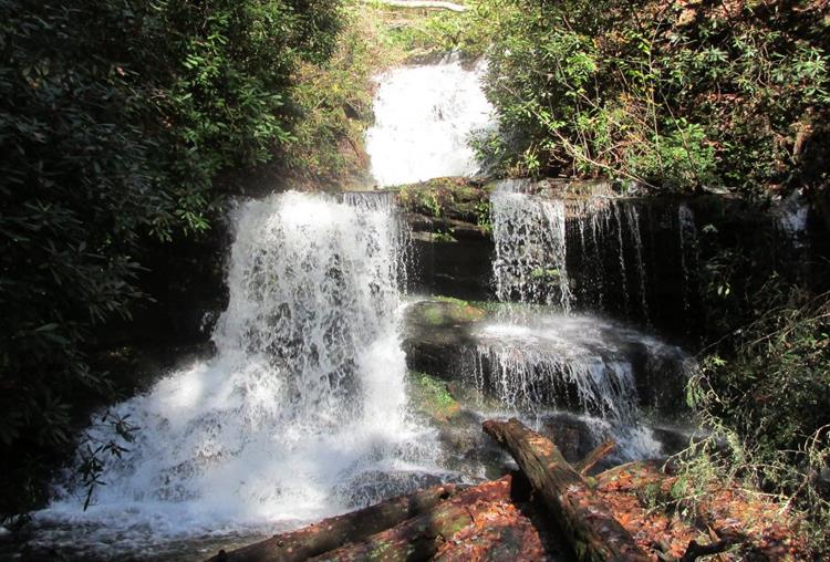 Beautiful Martin Creek Falls!
