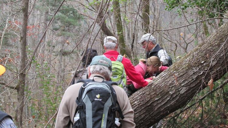 We encounter a large blowdown to crawl over.