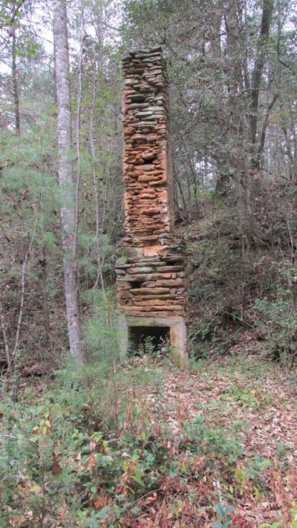 Remains of the old farm home place.