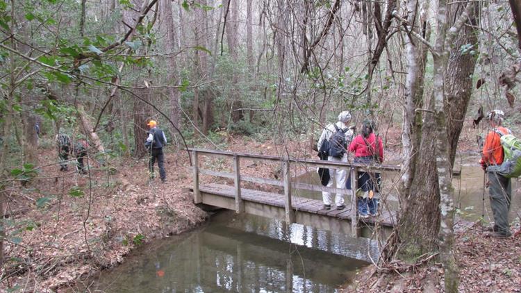 Crossing a creek where water is high due to beaver activity.