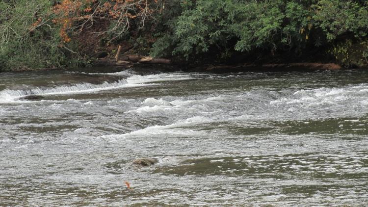 The "Wild and Scenic" Chattooga River.