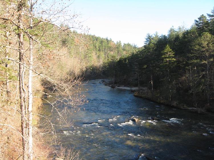 The Federally designated and protected "Wild and Scenic Chattooga River"