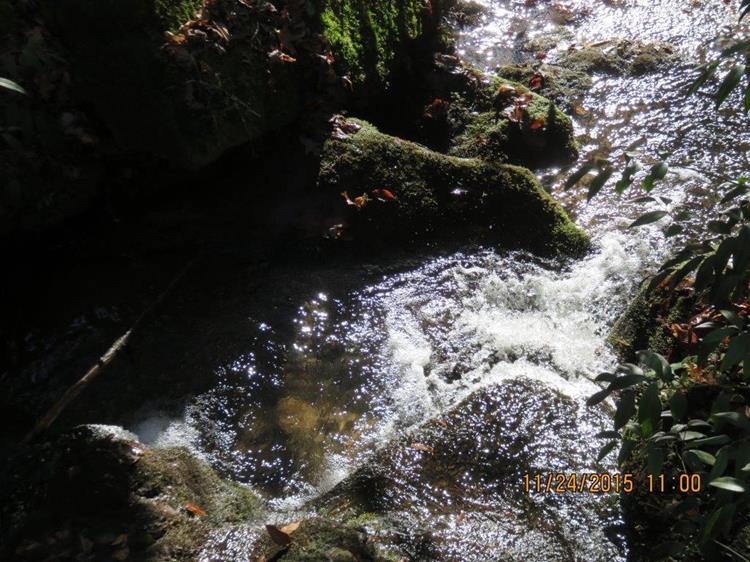 Nice North Georgia creek!