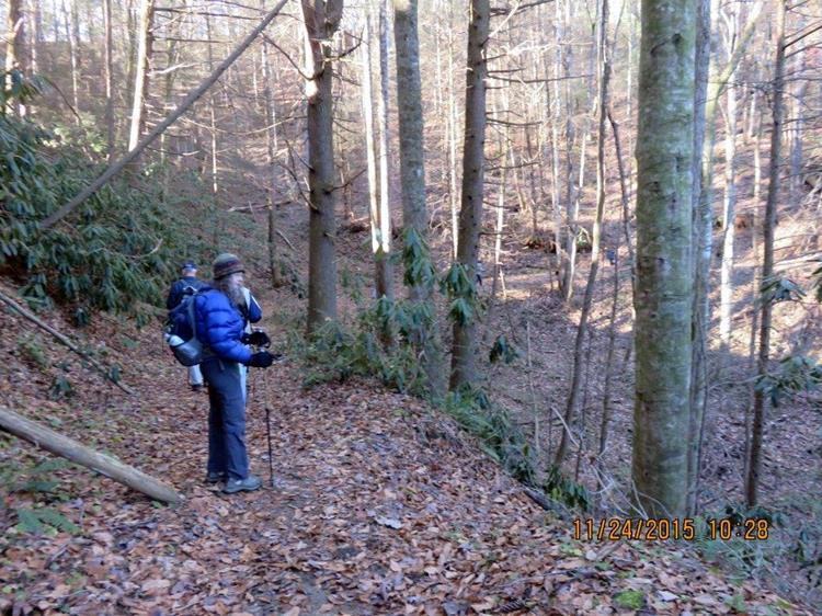 A beautiful woodland trail!