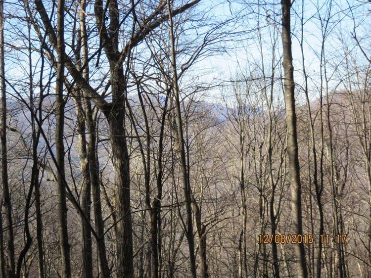 Since all of the leaves have fallen, we get mountain views all along the way.