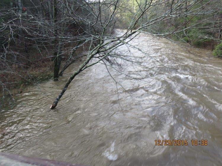 View of the Tallulah River from the Shortline trail suspension bridge. The river was out of its banks.