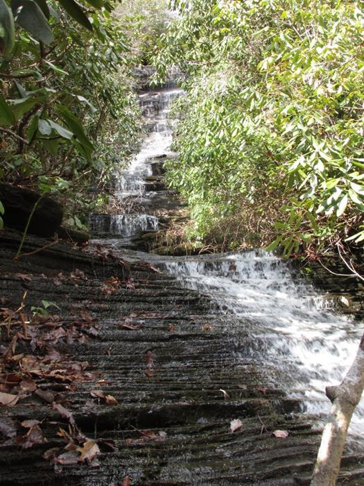 On up the trail we come to Angel Falls.
